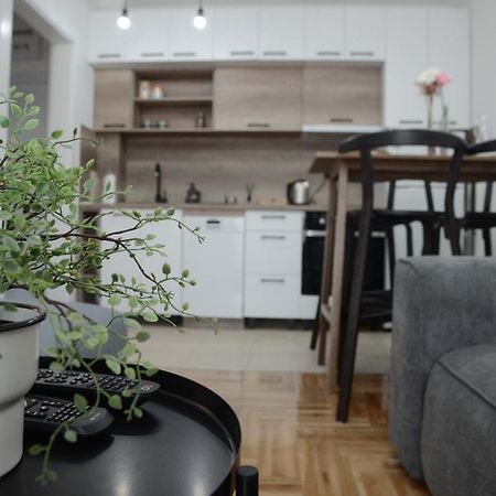 Apartment Dobraya Grey Нови Сад Екстериор снимка