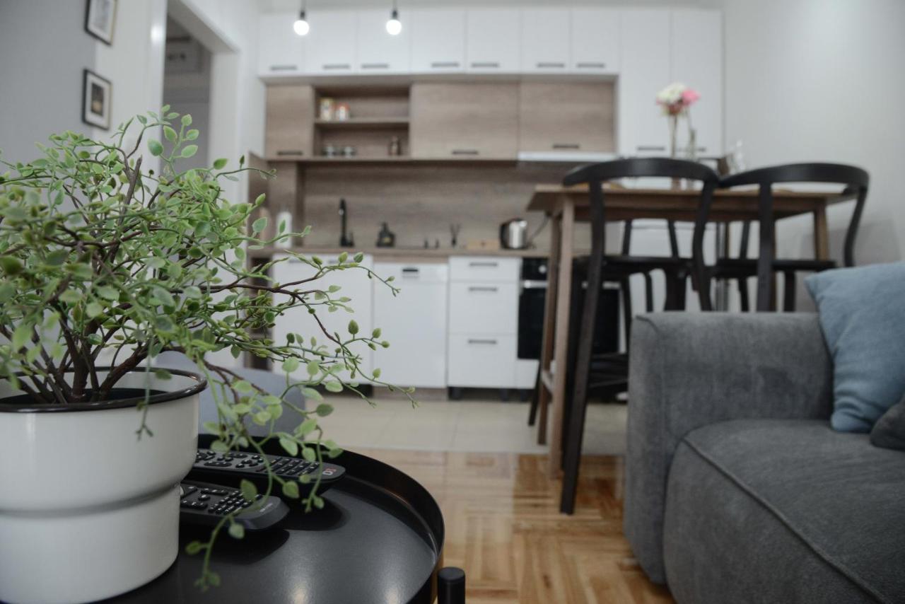 Apartment Dobraya Grey Нови Сад Екстериор снимка